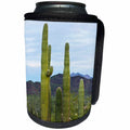 3dRose Danita Delimont - Cactus - USA, Arizona, Organ Pipe Cactus National Monument. Saguaro Cactus - Can Cooler Bottle Wrap (cc_229523)