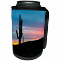 3dRose Danita Delimont - Sunset - Arizona, Organ Pipe Cactus. Saguaro Cactus, Bates Mountains, Sunset - Can Cooler Bottle Wrap (cc_229524)