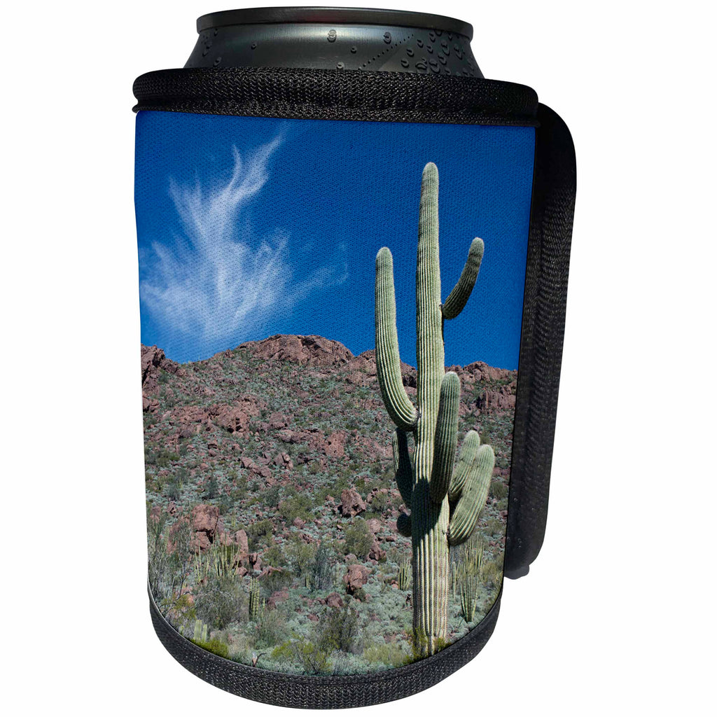 3dRose Danita Delimont - Cactus - Arizona, Organ Pipe Cactus NM, Alamo Canyon Trail, Saguaro Cactus - Can Cooler Bottle Wrap (cc_229526)