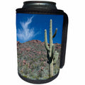 3dRose Danita Delimont - Cactus - Arizona, Organ Pipe Cactus NM, Alamo Canyon Trail, Saguaro Cactus - Can Cooler Bottle Wrap (cc_229526)