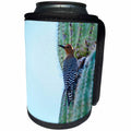 3dRose Danita Delimont - Bird - Arizona, Organ Pipe Cactus NM, Gila Woodpecker on Saguaro Cactus - Can Cooler Bottle Wrap (cc_229527)