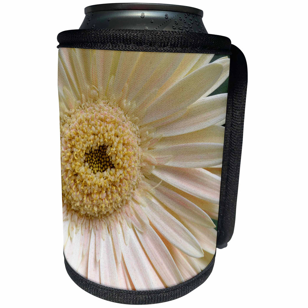 3dRose Patricia Sanders Flowers - light pink gerbera - Can Cooler Bottle Wrap (cc_22953)
