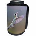 3dRose Danita Delimont - Hummingbird - Arizona, Madera Canyon. Female broad billed hummingbird in flight. - Can Cooler Bottle Wrap (cc_229531)