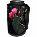 3dRose Danita Delimont - Desert - California, Anza Borrego Desert, Beavertail Cactus flowers - Can Cooler Bottle Wrap (cc_230017)