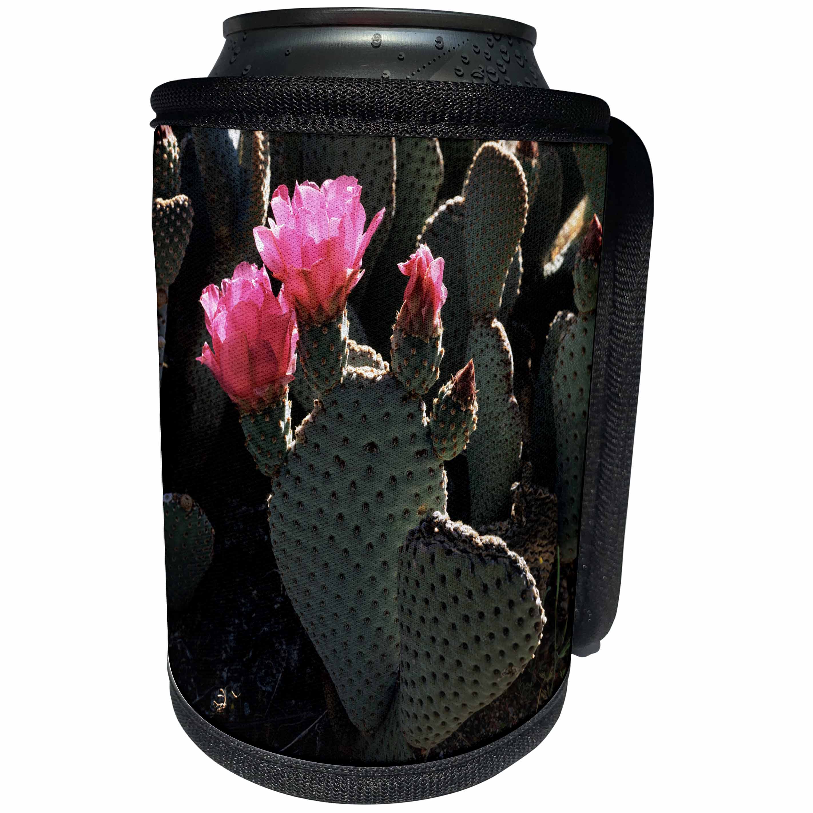 3dRose Danita Delimont - Desert - California, Anza Borrego Desert, Beavertail Cactus flowers - Can Cooler Bottle Wrap (cc_230017)