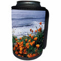 3dRose Danita Delimont - Wildflower - California, Big Sur Coast, California Poppy Wildflowers - Can Cooler Bottle Wrap (cc_230024)