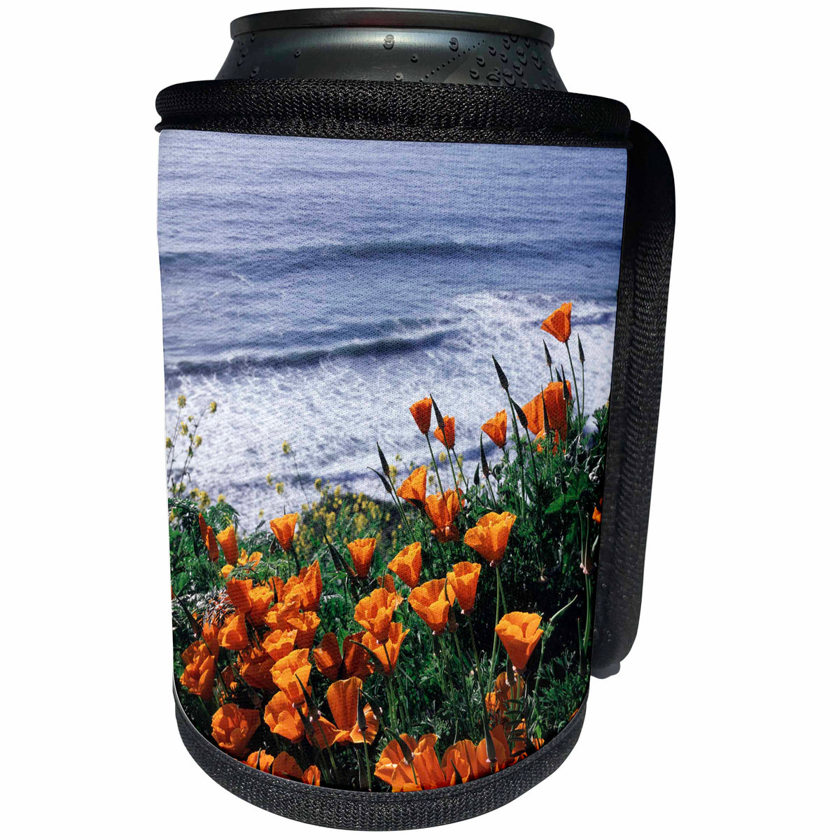 3dRose Danita Delimont - Wildflower - California, Big Sur Coast, California Poppy Wildflowers - Can Cooler Bottle Wrap (cc_230024)