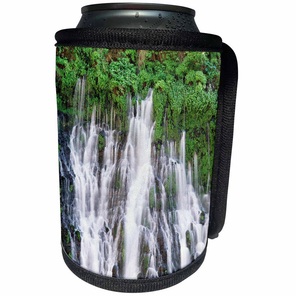 3dRose Danita Delimont - State Park - California, McArthur–Burney Falls Memorial State Park - Can Cooler Bottle Wrap (cc_230026)