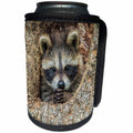 3dRose Danita Delimont - Animals - USA, Minnesota. Raccoon in a hollow tree with paws clasped together. - Can Cooler Bottle Wrap (cc_231035)