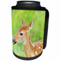 3dRose Danita Delimont - Animals - USA, Minnesota. Close-up of White-tailed deer fawn. - Can Cooler Bottle Wrap (cc_231038)