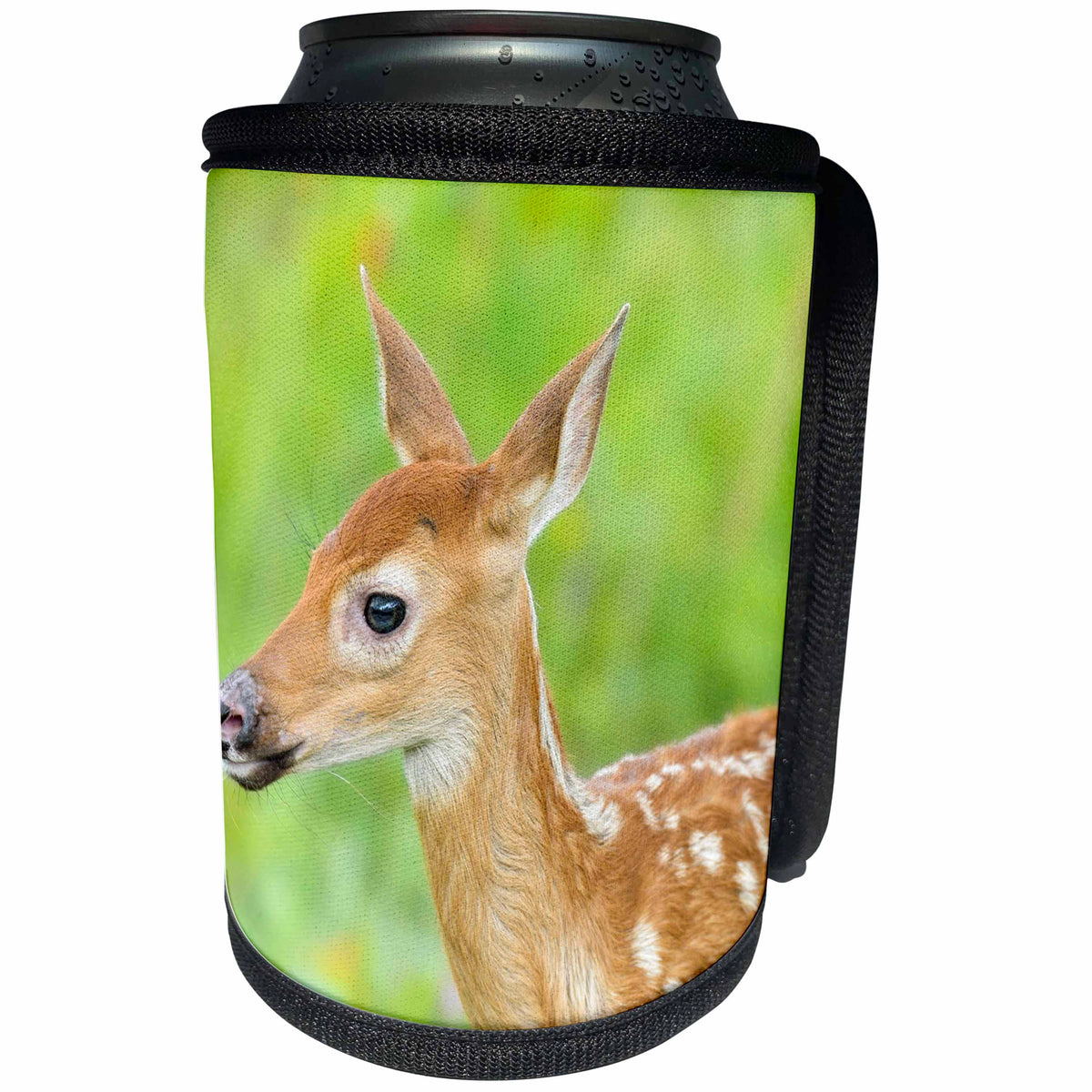 3dRose Danita Delimont - Animals - USA, Minnesota. Close-up of White-tailed deer fawn. - Can Cooler Bottle Wrap (cc_231038)