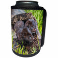 3dRose Danita Delimont - Animals - USA, Minnesota. Two mink kits in log watching for mother. - Can Cooler Bottle Wrap (cc_231039)