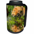 3dRose Danita Delimont - Animals - USA, Minnesota. Red fox - Can Cooler Bottle Wrap (cc_231040)