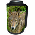 3dRose Danita Delimont - Animals - USA, Minnesota. Close-up of Grey wolf in the tall grass. - Can Cooler Bottle Wrap (cc_231042)