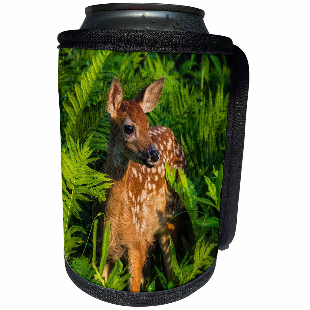 3dRose Danita Delimont - Animals - USA, Minnesota. Close-up of White-tailed deer fawn in the ferns. - Can Cooler Bottle Wrap (cc_231046)