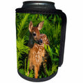 3dRose Danita Delimont - Animals - USA, Minnesota. Close-up of White-tailed deer fawn in the ferns. - Can Cooler Bottle Wrap (cc_231046)