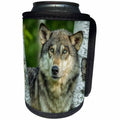 3dRose Danita Delimont - Animals - USA, Minnesota. Close-up of Grey wolf between two birch trees. - Can Cooler Bottle Wrap (cc_231047)