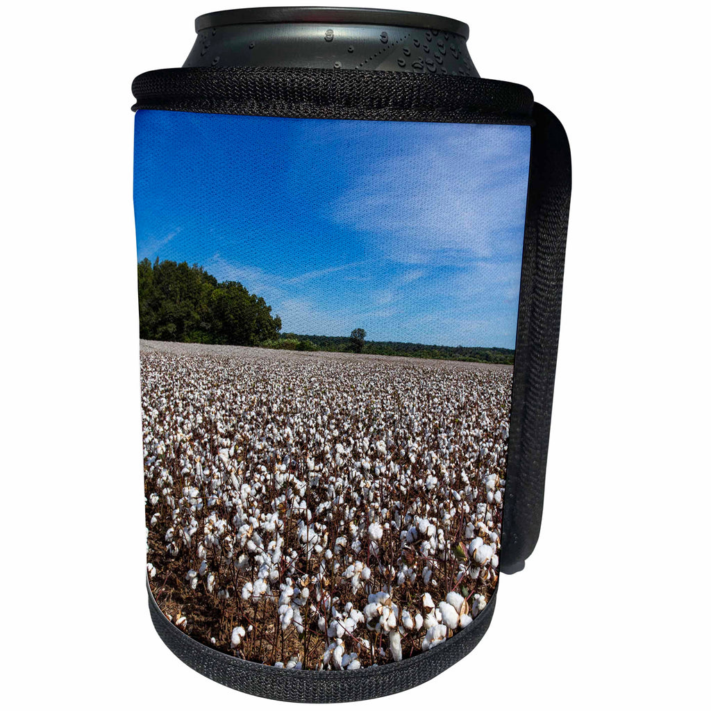 3dRose Danita Delimont - Agriculture - Mature field of cotton near Tishomingo, Mississippi, USA - Can Cooler Bottle Wrap (cc_231048)