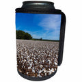 3dRose Danita Delimont - Agriculture - Mature field of cotton near Tishomingo, Mississippi, USA - Can Cooler Bottle Wrap (cc_231048)