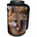 3dRose Danita Delimont - Animals - USA, Montana, Kalispell. Gray fox - Can Cooler Bottle Wrap (cc_231059)