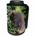 3dRose Danita Delimont - Animals - USA, Montana, Kalispell. Porcupine and rose hips - Can Cooler Bottle Wrap (cc_231060)