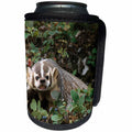 3dRose Danita Delimont - Animals - USA, Montana, Kalispell. Growling badger - Can Cooler Bottle Wrap (cc_231062)