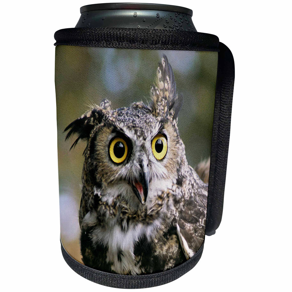 3dRose Danita Delimont - Birds - USA, Montana, Kalispell. Great horned owl - Can Cooler Bottle Wrap (cc_231063)