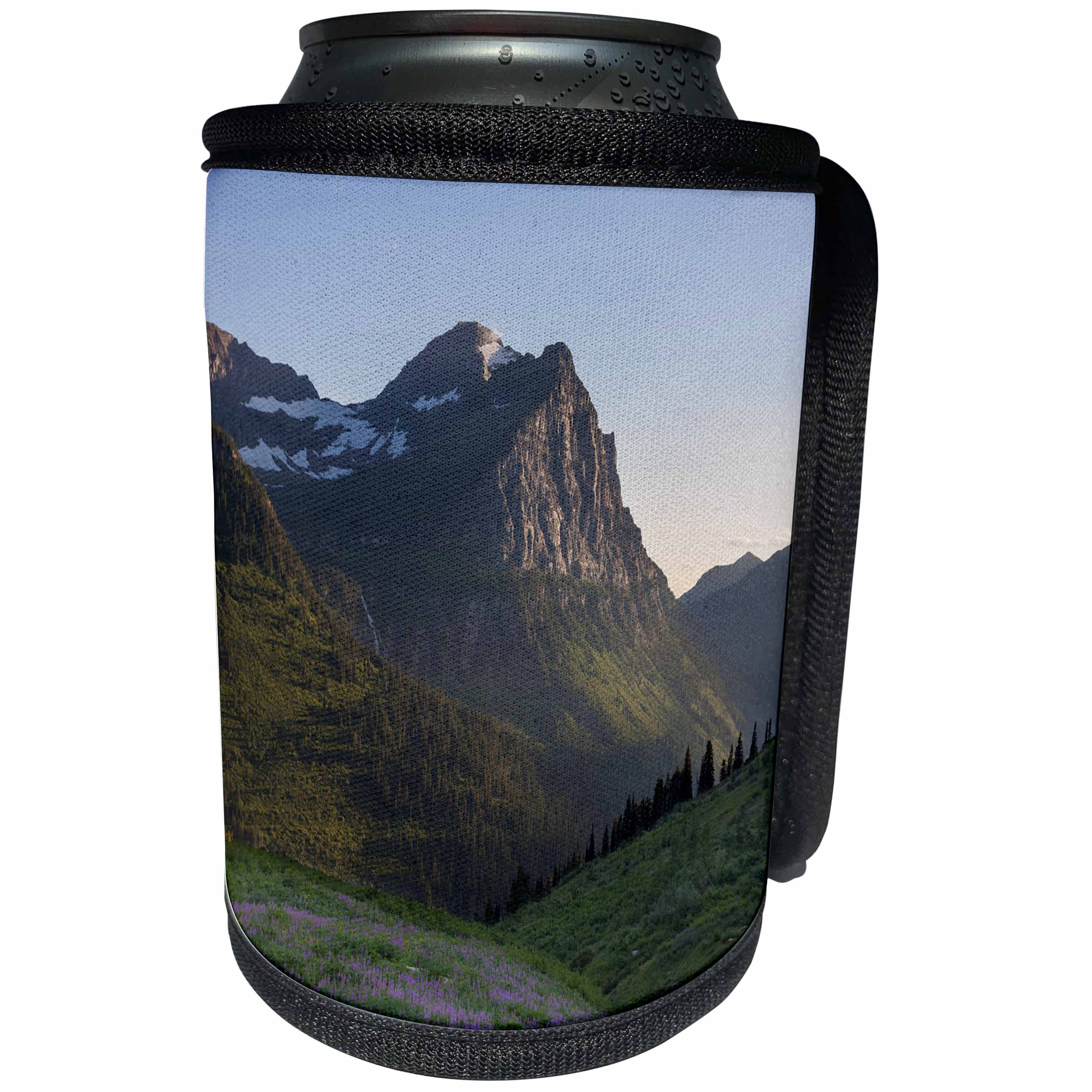 3dRose Danita Delimont - Wildflower - USA, Montana, Glacier National Park. Cannon Mountain - Can Cooler Bottle Wrap (cc_231065)