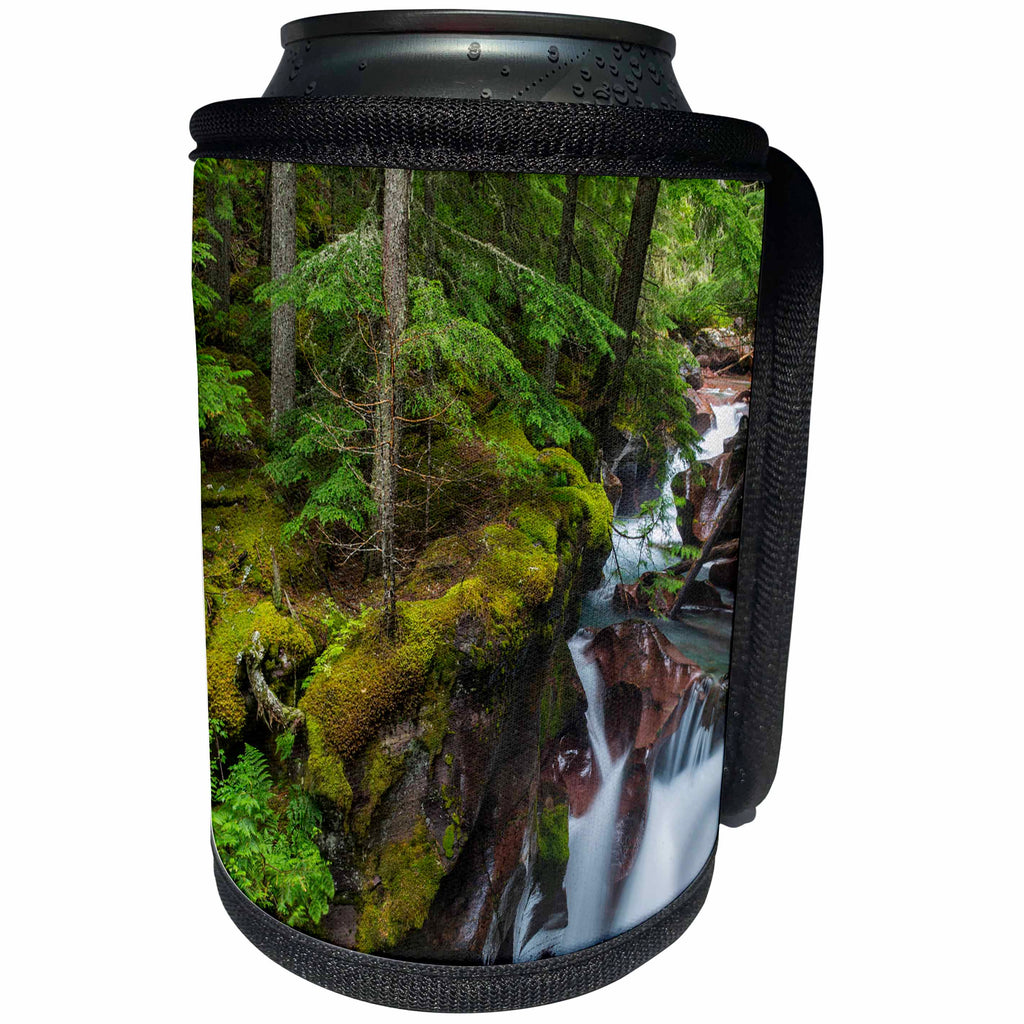 3dRose Danita Delimont - Glacier National Park - Avalanche Creek Gorge, Glacier National Park, Montana - Can Cooler Bottle Wrap (cc_231066)