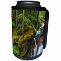 3dRose Danita Delimont - Glacier National Park - Avalanche Creek Gorge, Glacier National Park, Montana - Can Cooler Bottle Wrap (cc_231066)