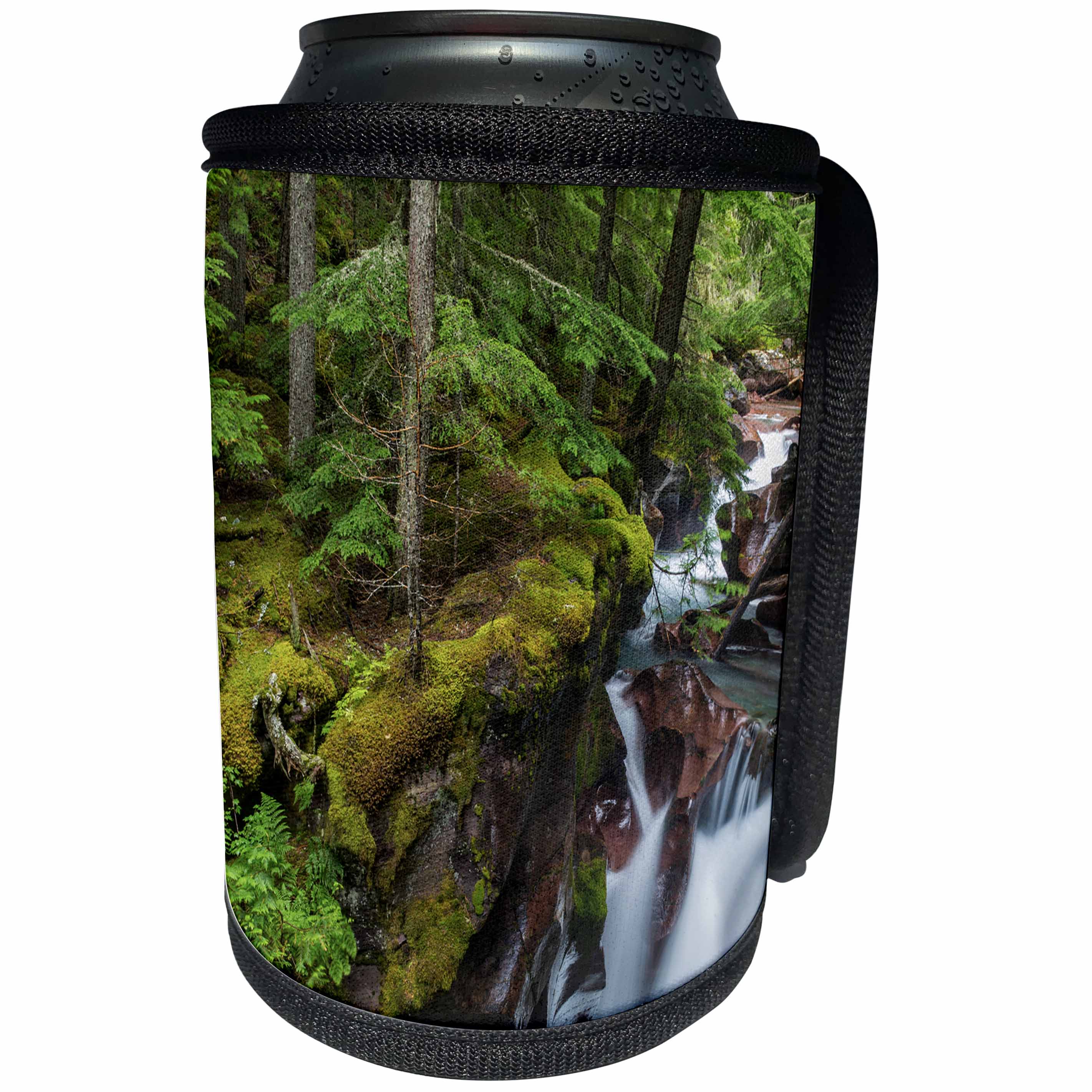 3dRose Danita Delimont - Glacier National Park - Avalanche Creek Gorge, Glacier National Park, Montana - Can Cooler Bottle Wrap (cc_231066)