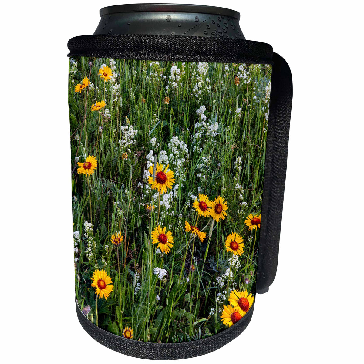3dRose Danita Delimont - Wildflower - Brown eyed susan and wild buckwheat in Glacier National Park, Montana - Can Cooler Bottle Wrap (cc_231071)