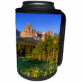 3dRose Danita Delimont - Glacier National Park - Wildflowers in Glacier National Park, Montana - Can Cooler Bottle Wrap (cc_231077)