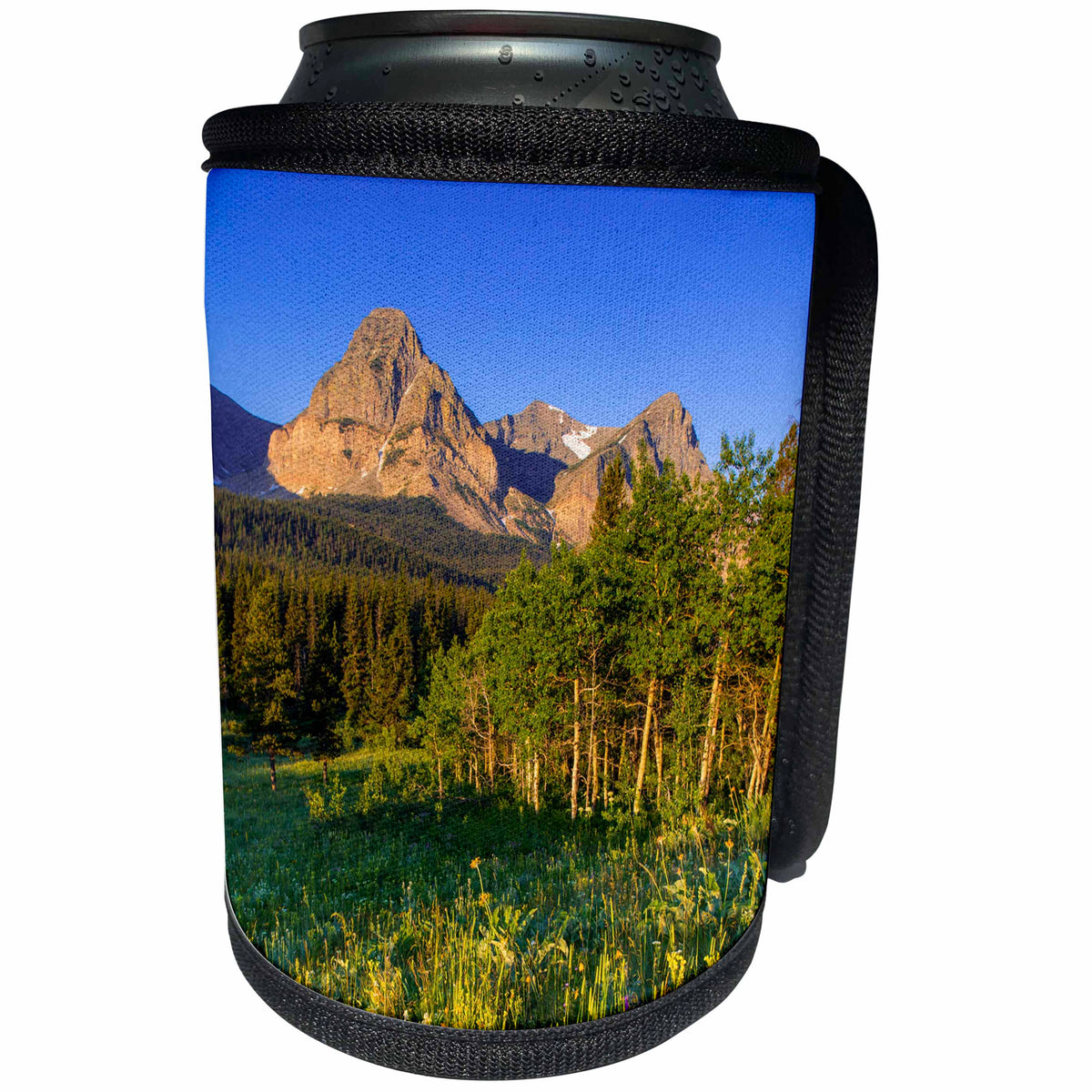 3dRose Danita Delimont - Glacier National Park - Wildflowers in Glacier National Park, Montana - Can Cooler Bottle Wrap (cc_231077)