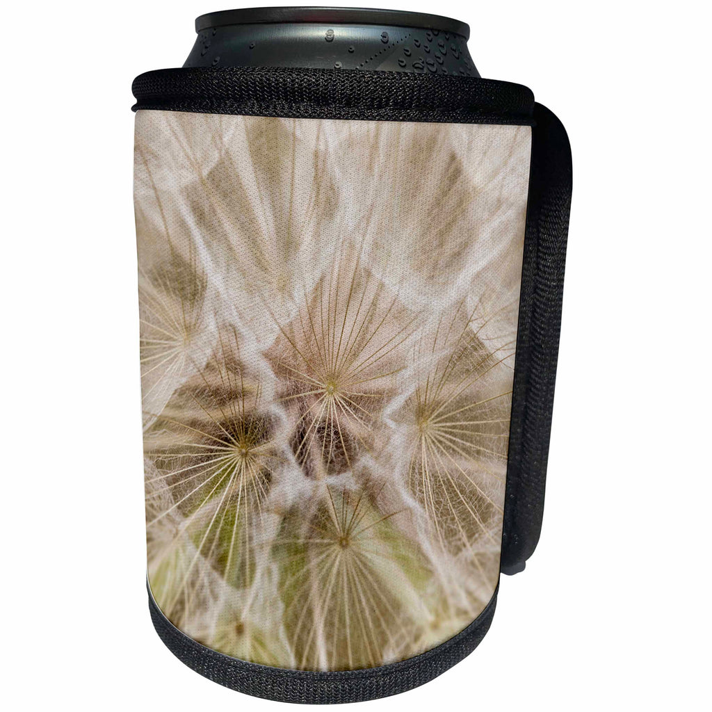 3dRose Danita Delimont - Wildflower - Detail of Goatsbeard seeds, Montana, USA - Can Cooler Bottle Wrap (cc_231081)