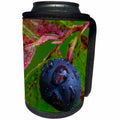 3dRose Danita Delimont - Montana - Ripe huckleberries, Montana, US - Can Cooler Bottle Wrap (cc_231084)