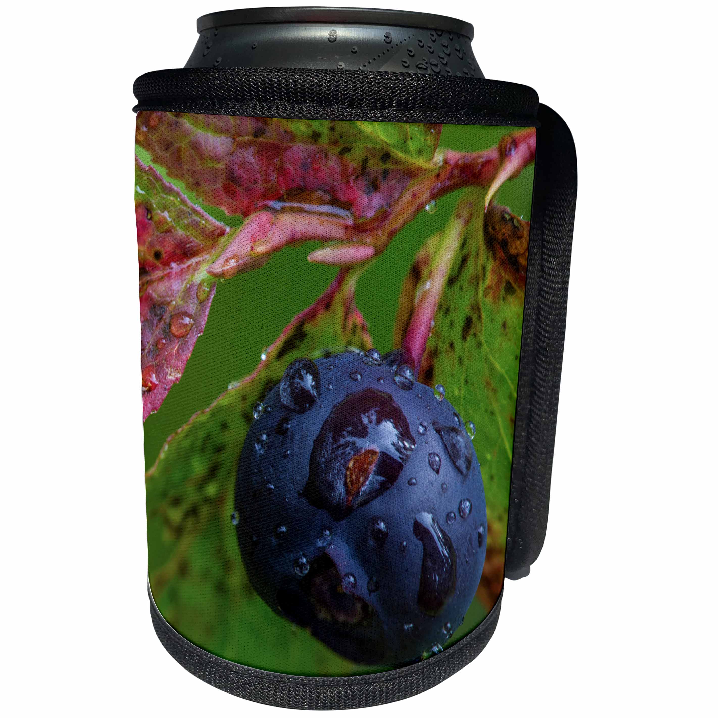 3dRose Danita Delimont - Montana - Ripe huckleberries, Montana, US - Can Cooler Bottle Wrap (cc_231084)