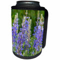 3dRose Danita Delimont - Glacier National Park - Lupine wildflowers in Glacier National Park, Montana - Can Cooler Bottle Wrap (cc_231087)