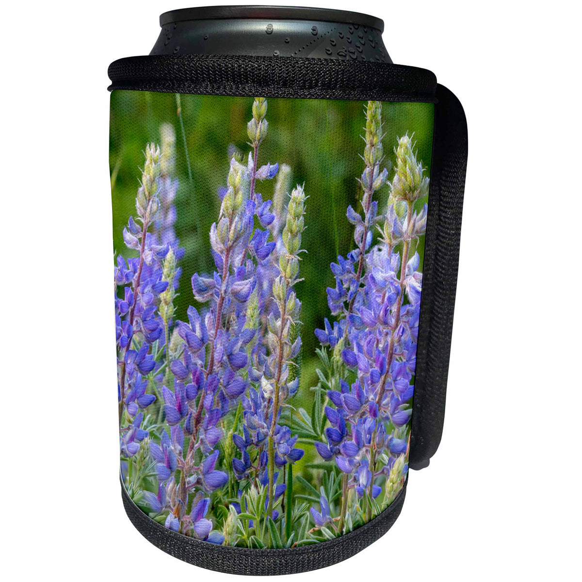 3dRose Danita Delimont - Glacier National Park - Lupine wildflowers in Glacier National Park, Montana - Can Cooler Bottle Wrap (cc_231087)