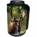 3dRose Danita Delimont - Glacier National Park - Bull moose feeding in Glacier National Park, Montana - Can Cooler Bottle Wrap (cc_231091)