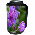 3dRose Danita Delimont - Glacier National Park - Sticky geranium wildflowers in Glacier National Park, Montana - Can Cooler Bottle Wrap (cc_231094)