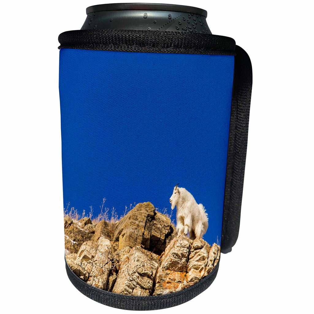 3dRose Danita Delimont - Glacier National Park - Billy mountain goat in winter coat in Glacier National Park, Montana - Can Cooler Bottle Wrap (cc_231104)
