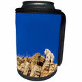 3dRose Danita Delimont - Glacier National Park - Billy mountain goat in winter coat in Glacier National Park, Montana - Can Cooler Bottle Wrap (cc_231104)