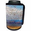3dRose Danita Delimont - Birds - Snow geese during spring migration at Freezeout Lake, Montana, USA - Can Cooler Bottle Wrap (cc_231106)