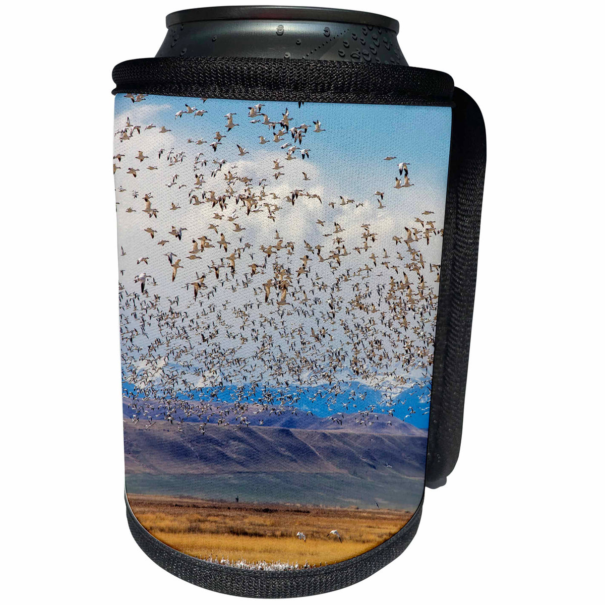 3dRose Danita Delimont - Birds - Snow geese during spring migration at Freezeout Lake, Montana, USA - Can Cooler Bottle Wrap (cc_231106)