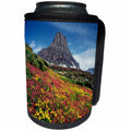 3dRose Danita Delimont - Glacier National Park - USA, Montana, Glacier National Park, Wildflowers and a mountain peak. - Can Cooler Bottle Wrap (cc_231109)
