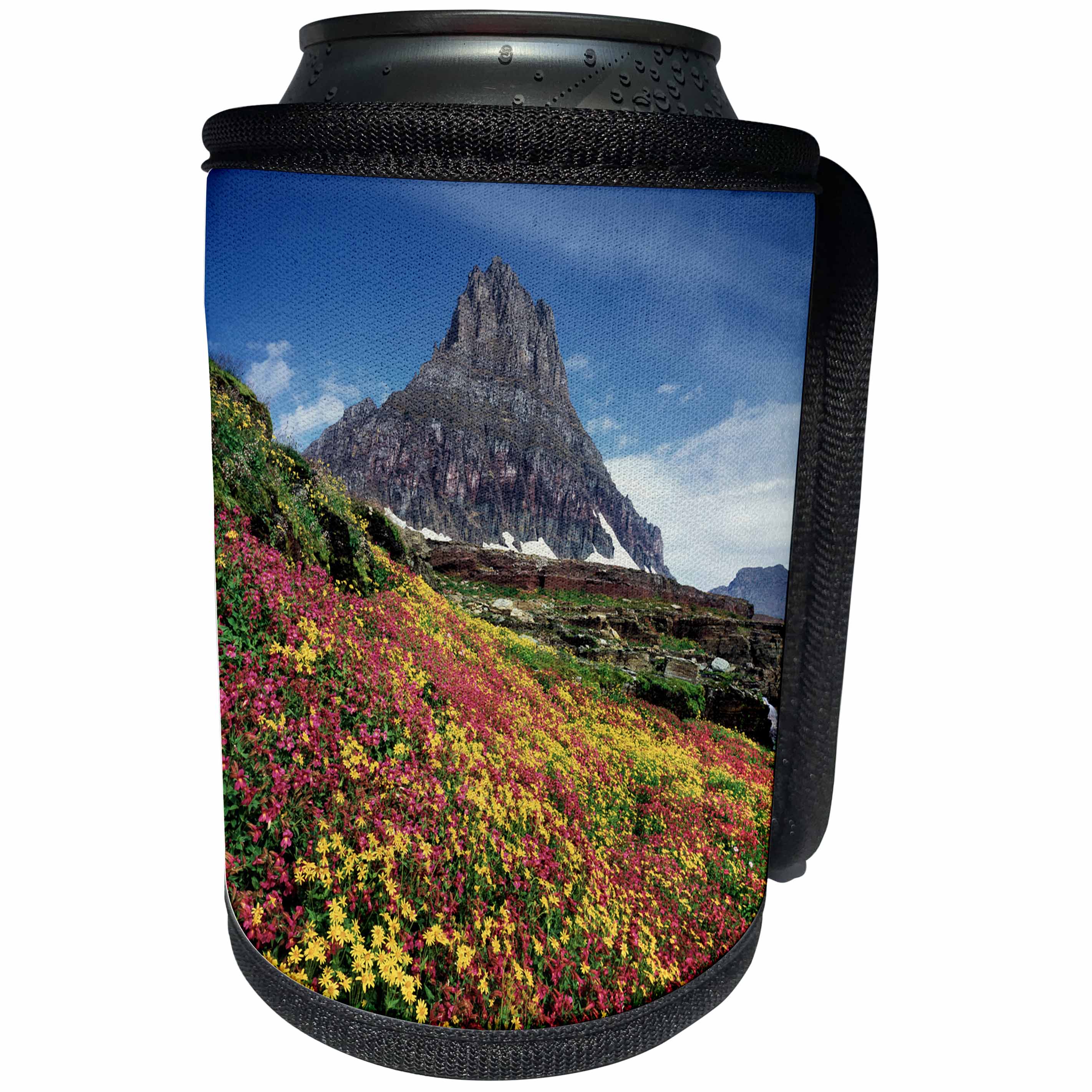 3dRose Danita Delimont - Glacier National Park - USA, Montana, Glacier National Park, Wildflowers and a mountain peak. - Can Cooler Bottle Wrap (cc_231109)