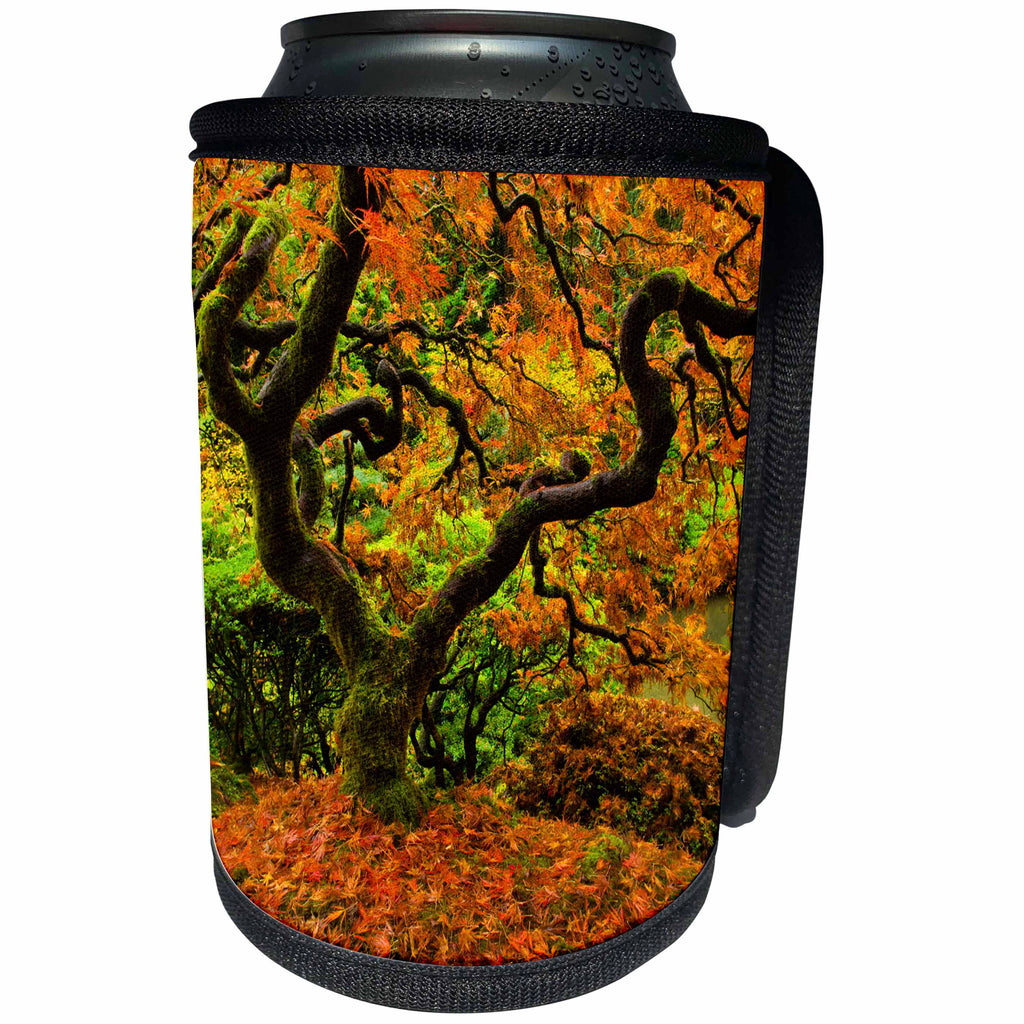 3dRose Danita Delimont - Autumn - Japanese Maple, Portland Japanese Garden, Autumn, Oregon, USA - Can Cooler Bottle Wrap (cc_231501)