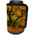 3dRose Danita Delimont - Autumn - Japanese Maple, Portland Japanese Garden, Autumn, Oregon, USA - Can Cooler Bottle Wrap (cc_231501)
