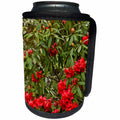 3dRose Danita Delimont - Flora - Crystal Springs Rhododendron Garden, Portland, Oregon, USA - Can Cooler Bottle Wrap (cc_231510)